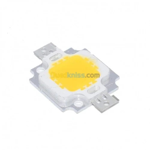 LED 10W blanc /blanc chaud /rouge /ver