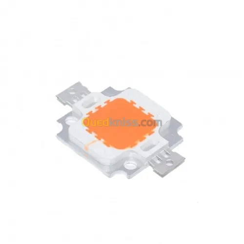 LED 10W blanc /blanc chaud /rouge /ver