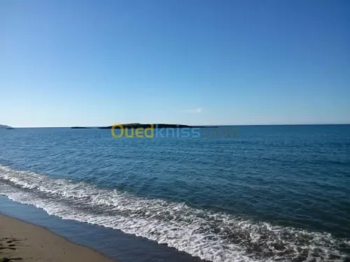 Location Appartement F3 Bejaia Bejaia