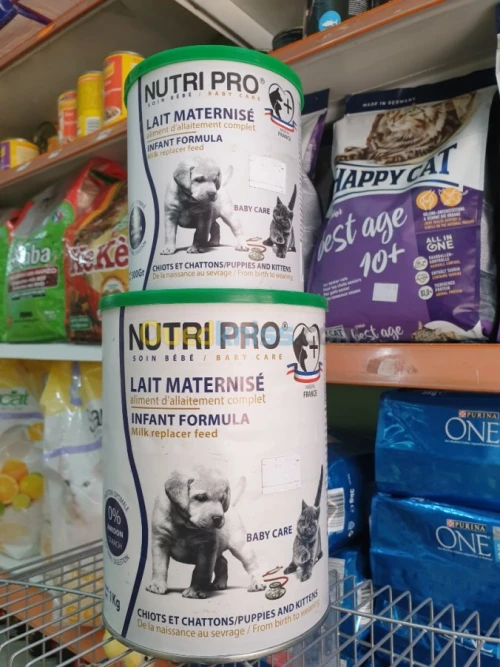 Lait maternisé chat et chien
