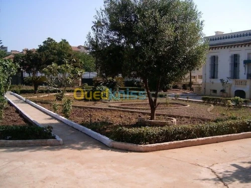 Vente Villa Alger Ain taya