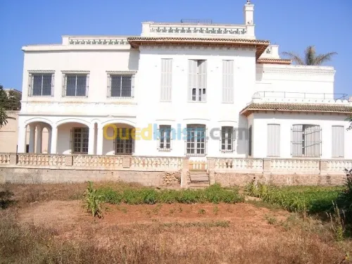 Vente Villa Alger Ain taya