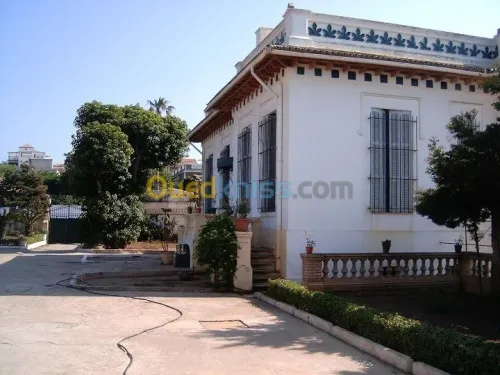 Vente Villa Alger Ain taya