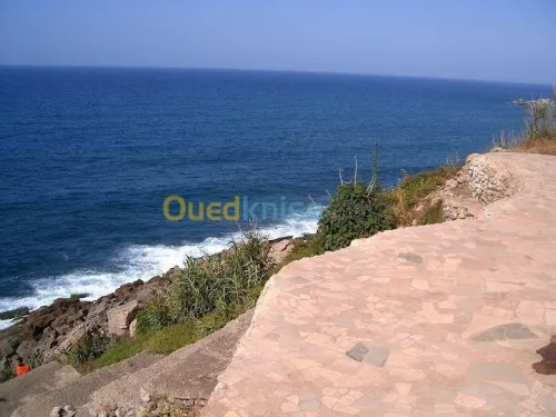 Vente Villa Alger Ain taya