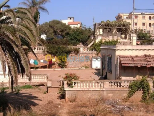 Vente Villa Alger Ain taya