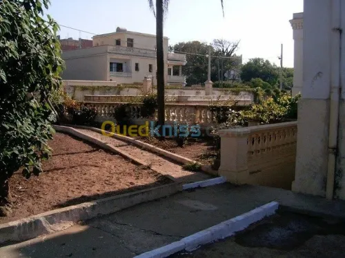 Vente Villa Alger Ain taya