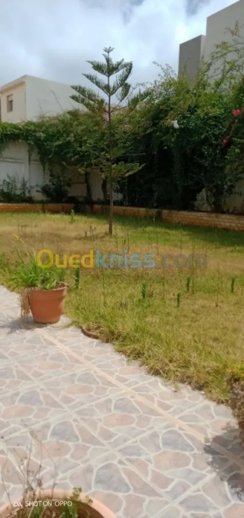 Location Villa Alger Cheraga