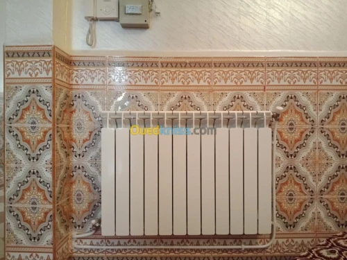 Vente Villa Relizane Oued rhiou