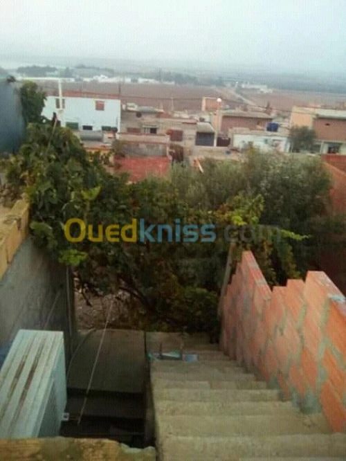 Vente Appartement F3 Oran Oued tlelat