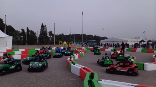 Manège Attraction Mini Karting