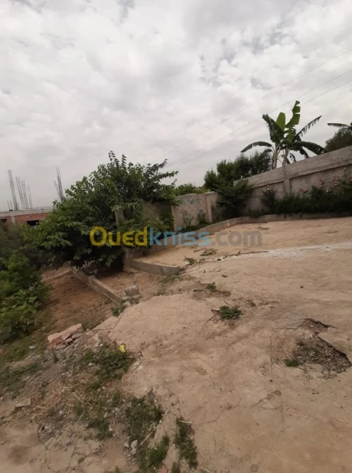 Vente Villa Boumerdès Ouled moussa