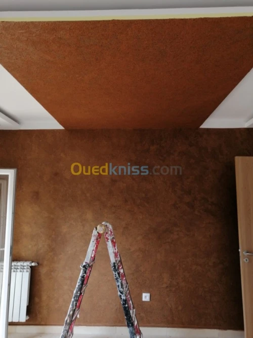 Peintre professionel 