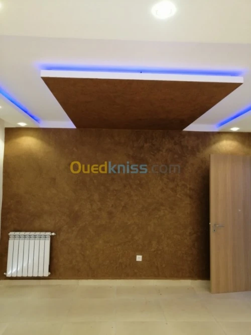Peintre professionel 