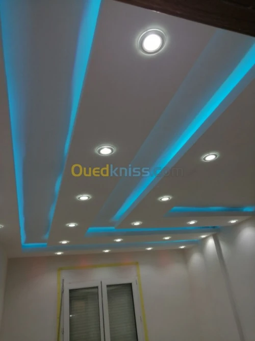 Peintre professionel 
