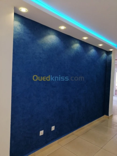Peintre professionel 