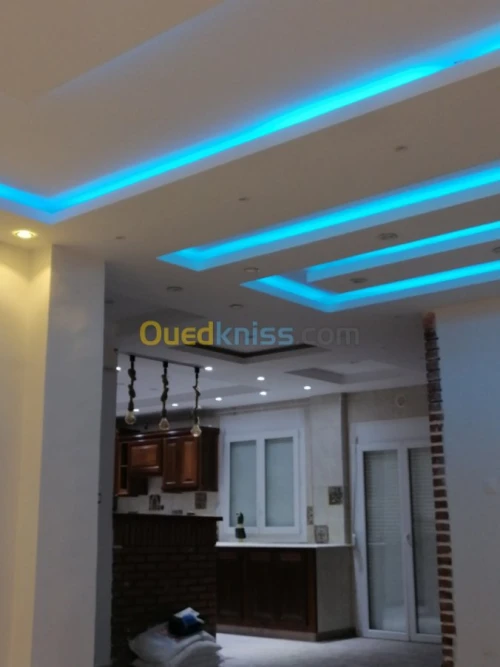 Peintre professionel 