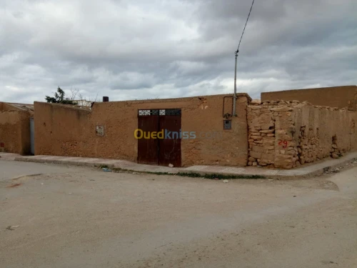 Vente Terrain Tlemcen Sebdou