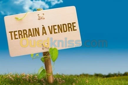 Vente Terrain Tizi ouzou Azazga