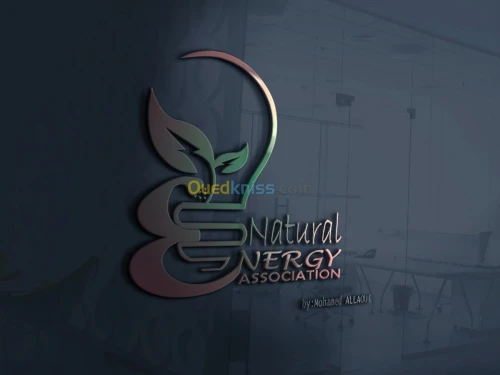 Graphic design|Infographie |Mntg video
