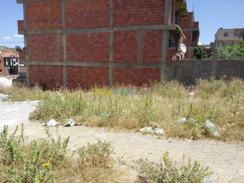 Vente Terrain Mila Mila