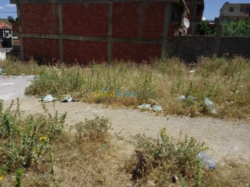 Vente Terrain Mila Mila