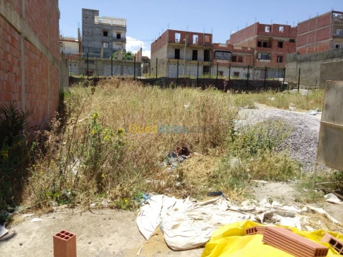 Vente Terrain Mila Mila