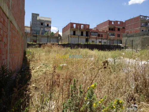 Vente Terrain Mila Mila