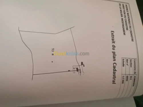 Vente Terrain Mostaganem Fornaka