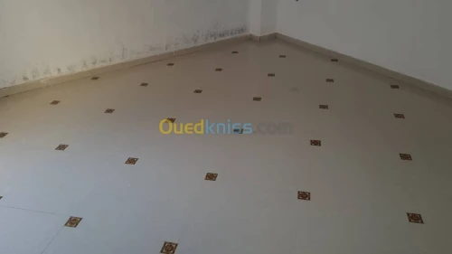 ( Mason professionnel ( karlour