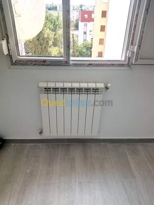 Sanitaire/ chauffage centrale /Gaz