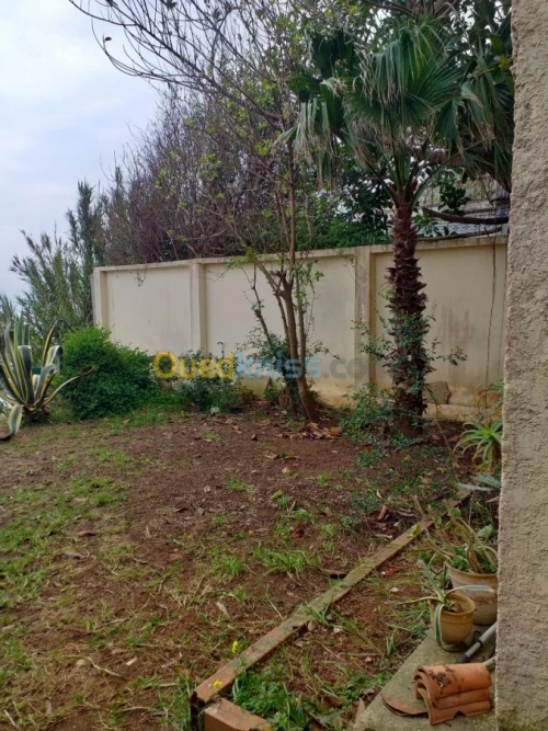 Vente Villa Alger Ain taya