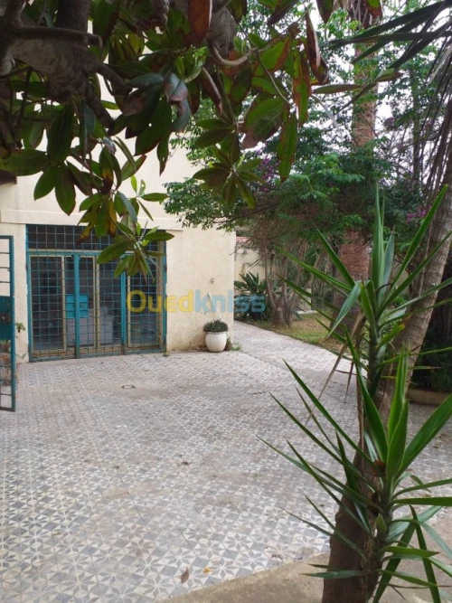 Vente Villa Alger Ain taya