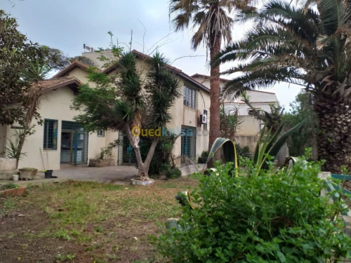 Vente Villa Alger Ain taya