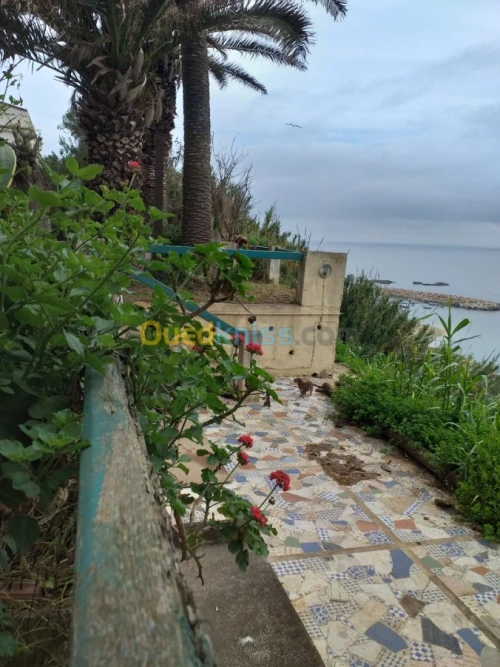 Vente Villa Alger Ain taya