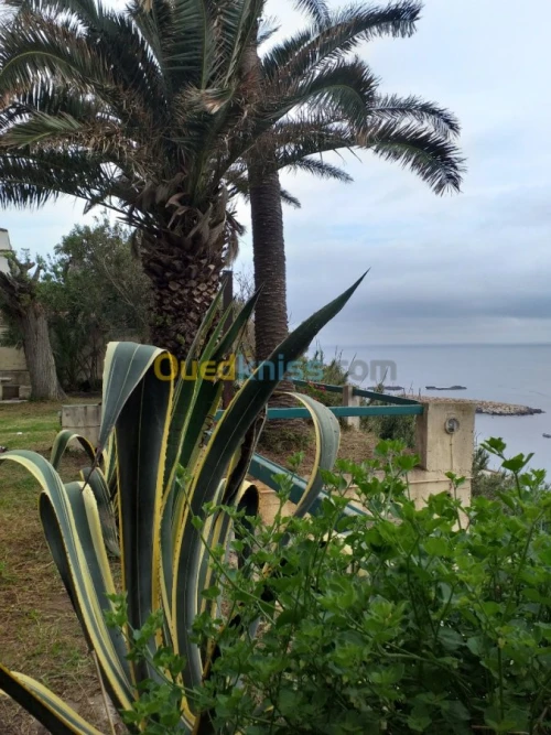 Vente Villa Alger Ain taya
