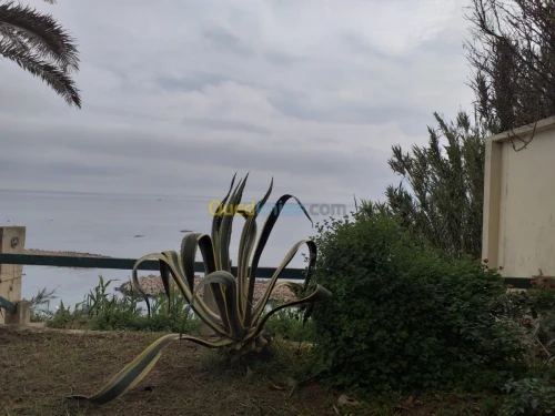 Vente Villa Alger Ain taya