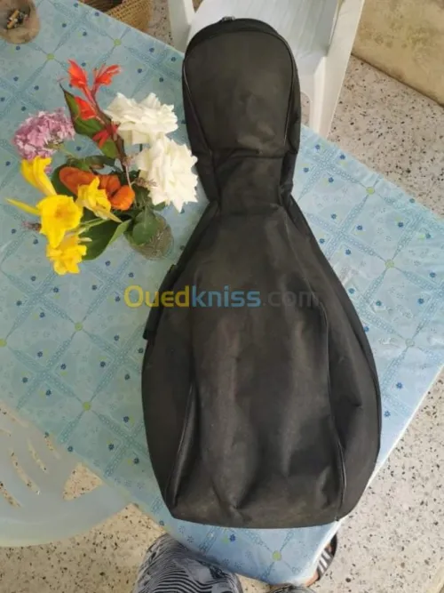 oud (luth) égyptien