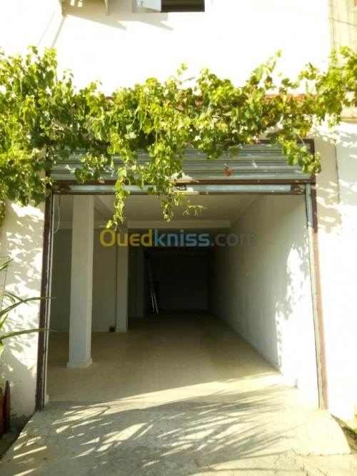 Location Local Jijel El milia