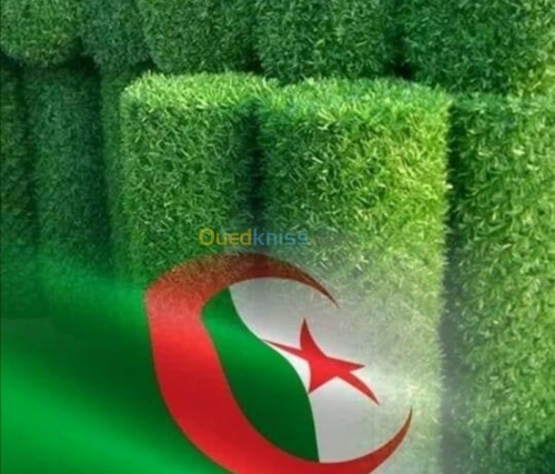 Grillage gazonné bordj bou arreridj 