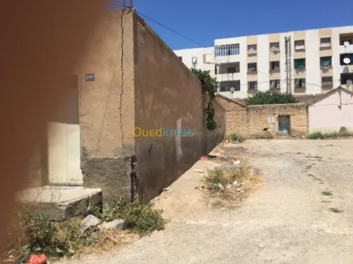 Vente Terrain Oum el bouaghi Oum el bouaghi