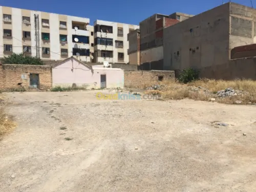 Vente Terrain Oum el bouaghi Oum el bouaghi
