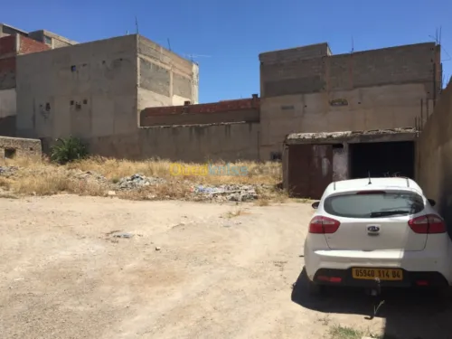 Vente Terrain Oum el bouaghi Oum el bouaghi