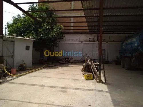 Vente Hangar Alger Bordj el kiffan