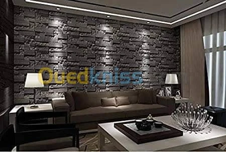 AQUAPANEL / PLACOPLATRE/ PEINTURE 