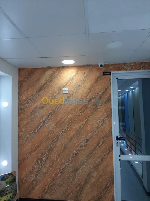 AQUAPANEL / PLACOPLATRE/ PEINTURE 