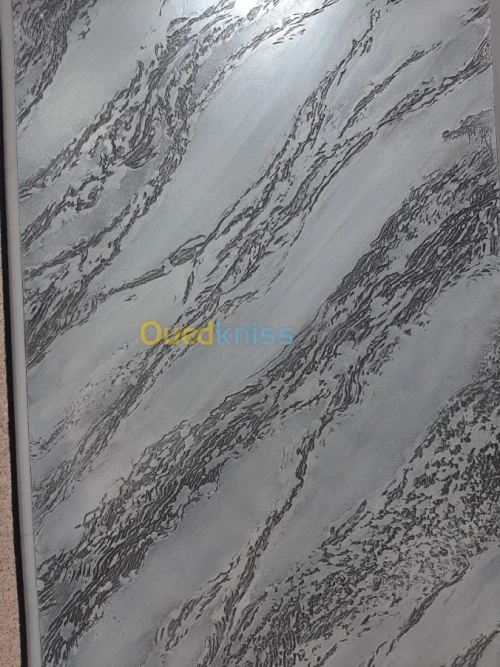 AQUAPANEL / PLACOPLATRE/ PEINTURE 