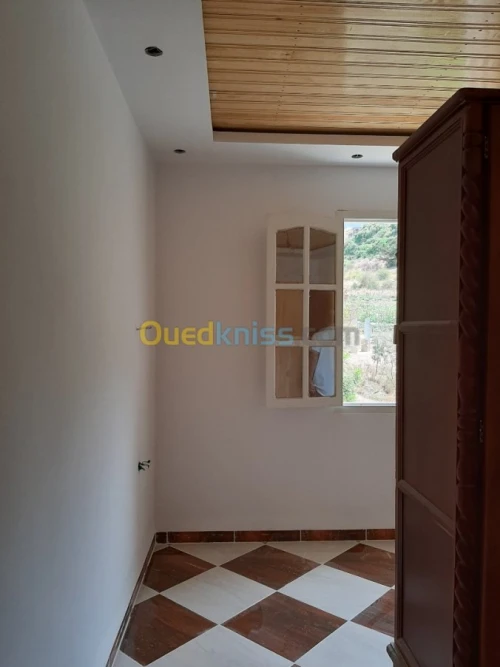 AQUAPANEL / PLACOPLATRE/ PEINTURE 