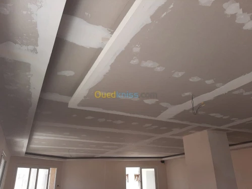 AQUAPANEL / PLACOPLATRE/ PEINTURE 