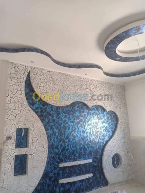 AQUAPANEL / PLACOPLATRE/ PEINTURE 