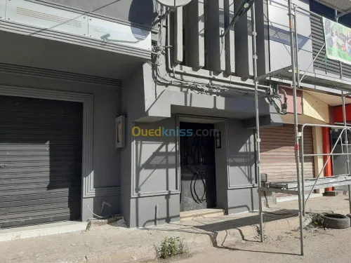 AQUAPANEL / PLACOPLATRE/ PEINTURE 